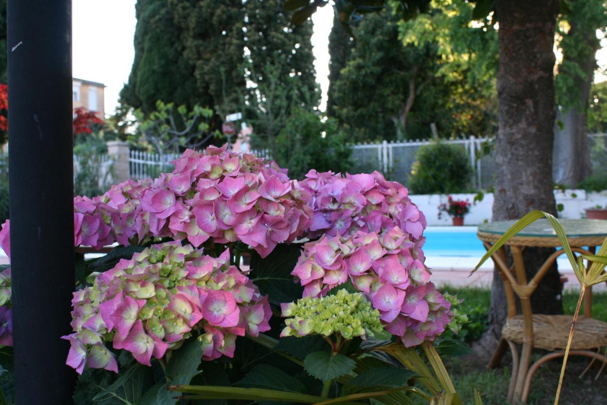 B&B Desenzano Desenzano del Garda Eksteriør bilde